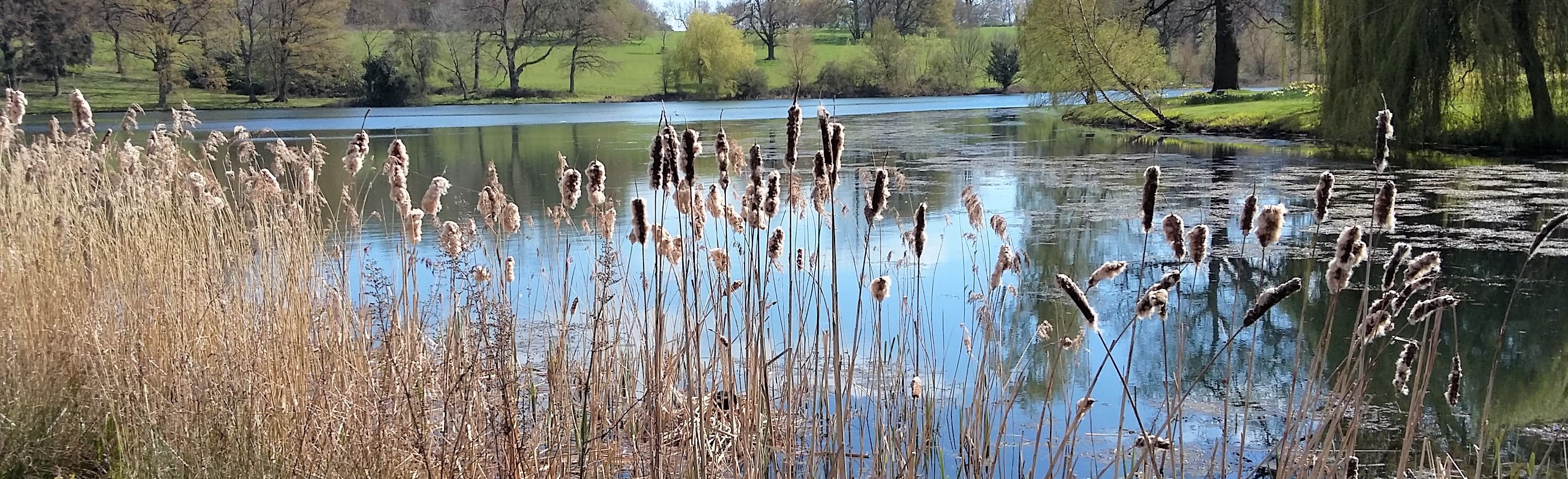 Burghley House